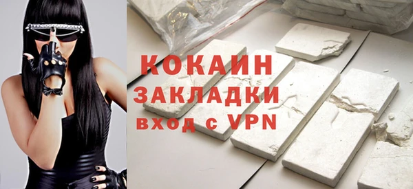 гидра Карпинск