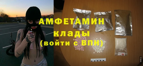 гидра Карпинск