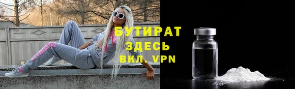 гидра Карпинск
