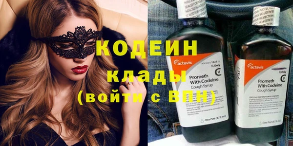 гидра Карпинск