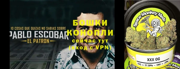 гидра Карпинск