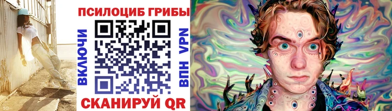 Купить закладки  Горячеводский  Галлюциногенные грибы Cubensis